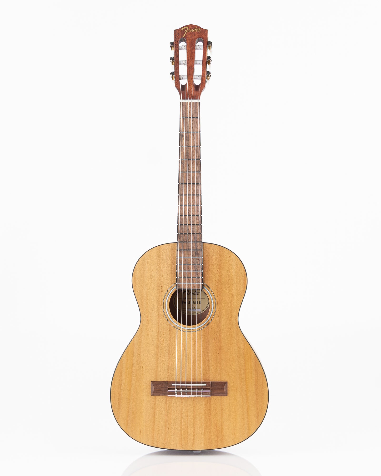 Fender Acoustic Guitar Starter Pack