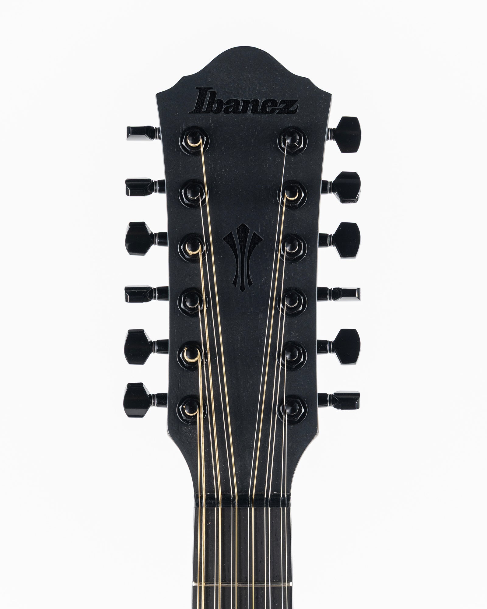 Ibanez AEG1221 12 String Acoustic Electric Guitar - Black Out