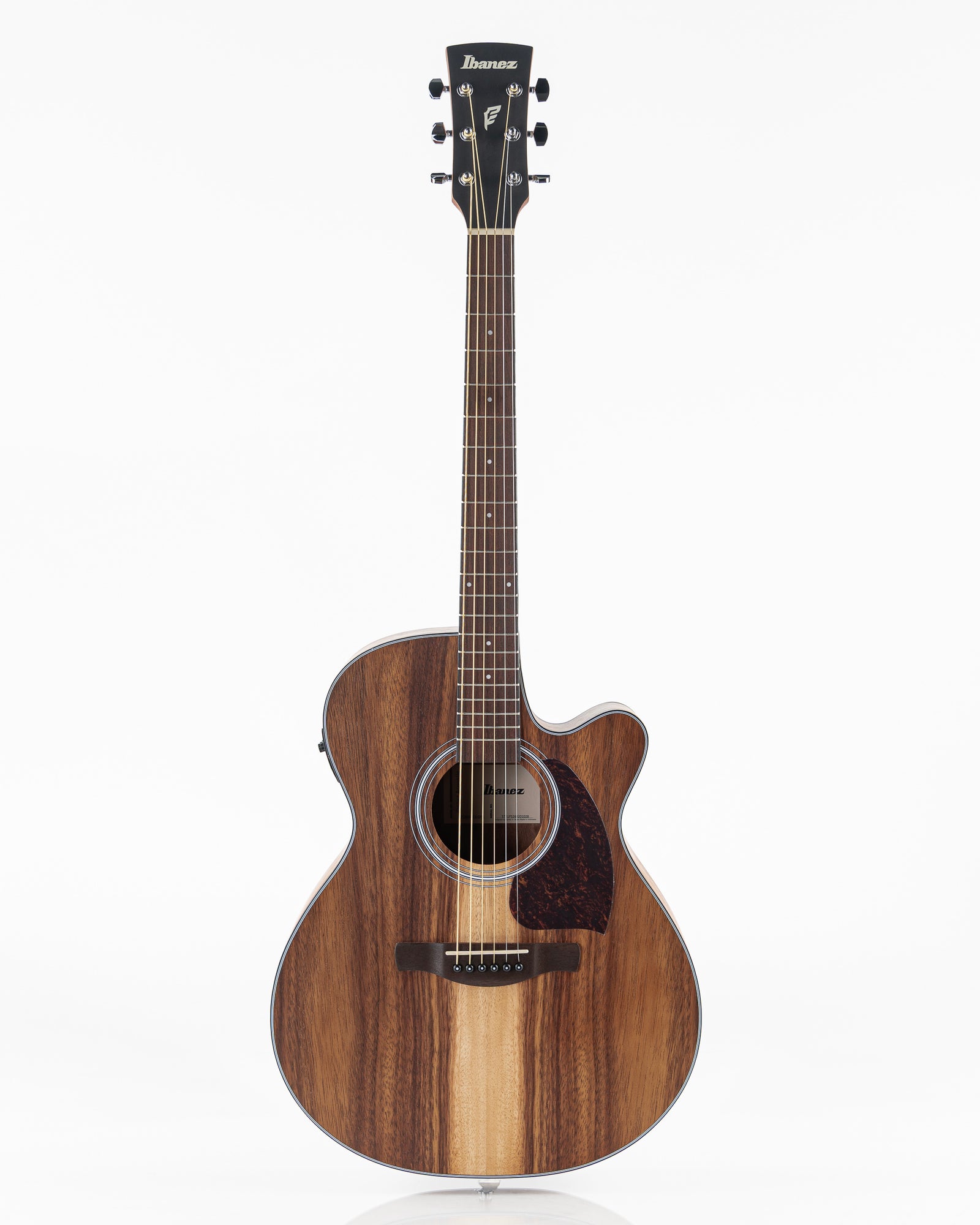 Ibanez PC50WSCE Acoustic Electric Guitar - Open Pore Natural
