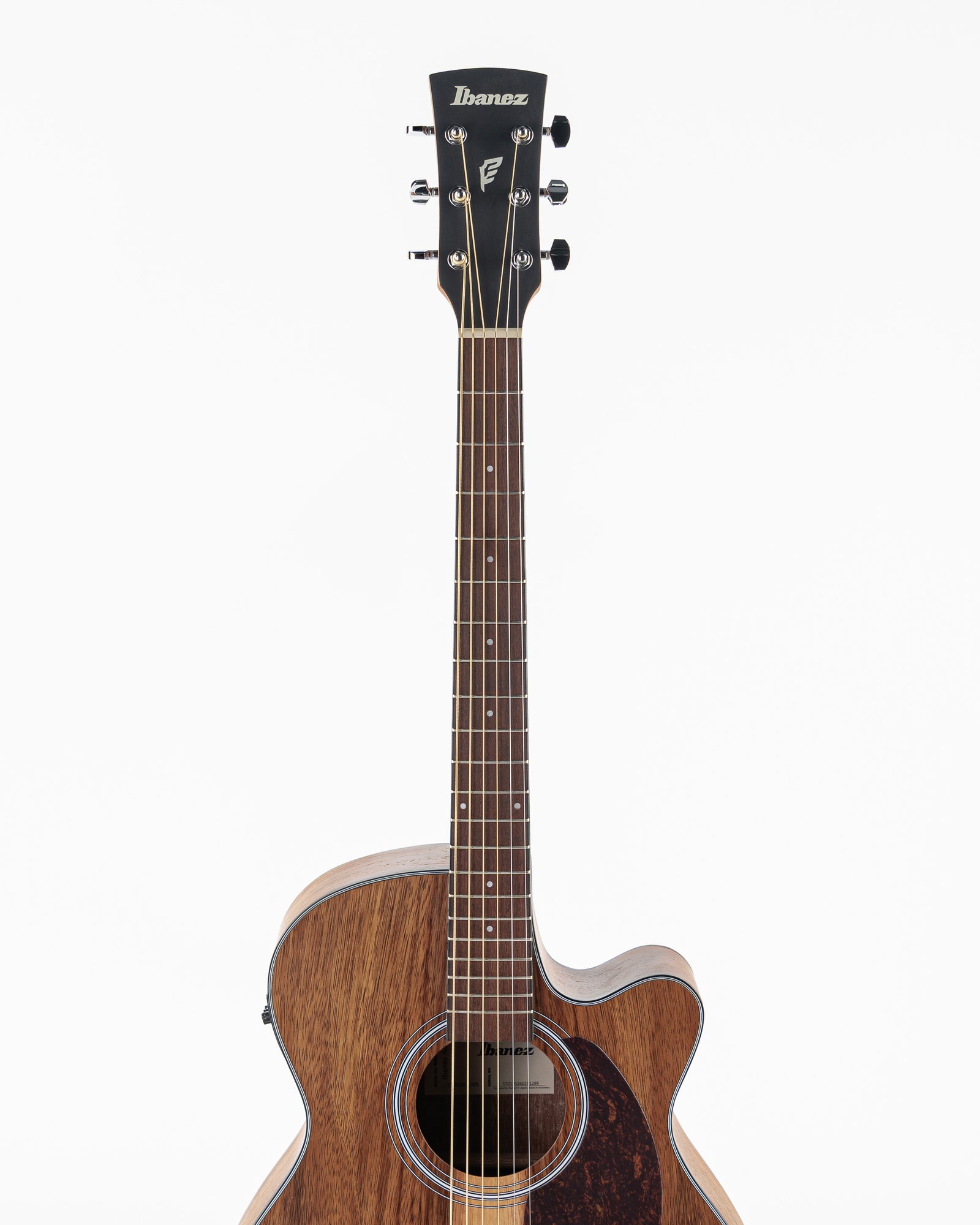 Ibanez PC50WSCE Acoustic Electric Guitar - Open Pore Natural