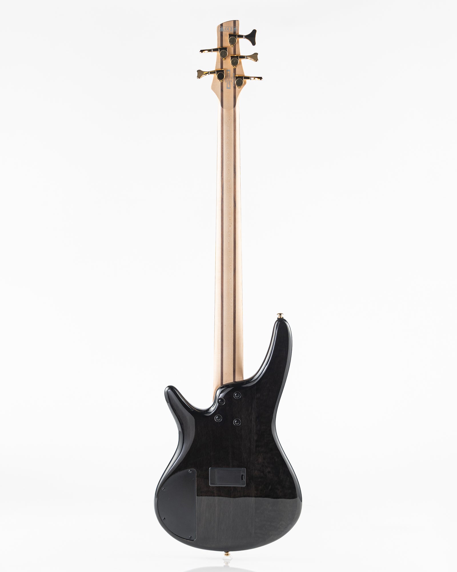 Ibanez SR Standard SR405EPBDX 5 String Electric Bass - Tropical Seafloor Burst