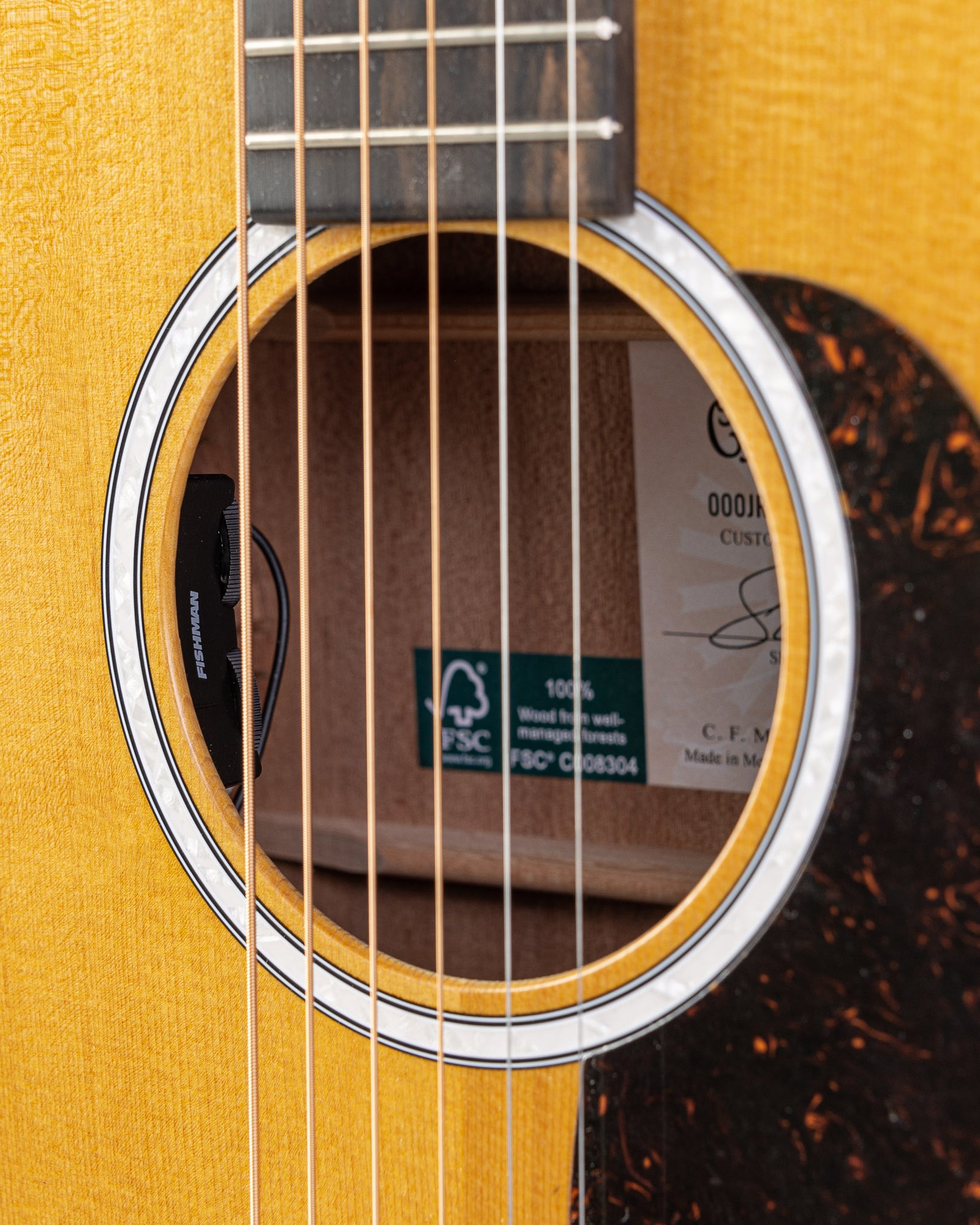 Martin Shawn Mendes Signature 000JR-10E