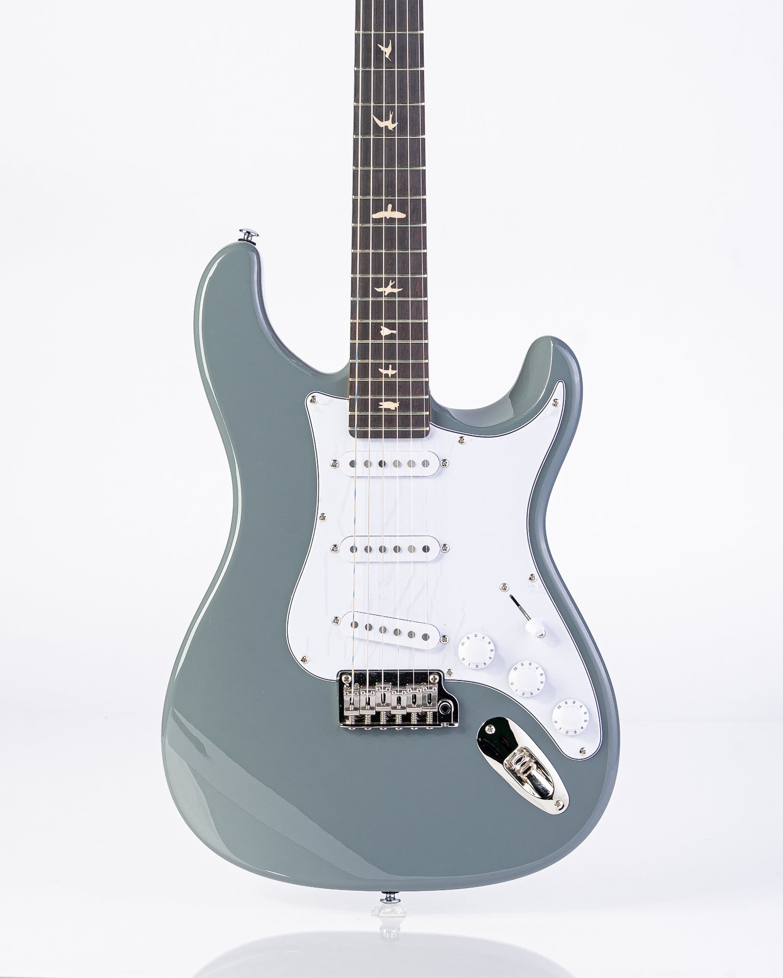 PRS SE Silver Sky Storm Gray