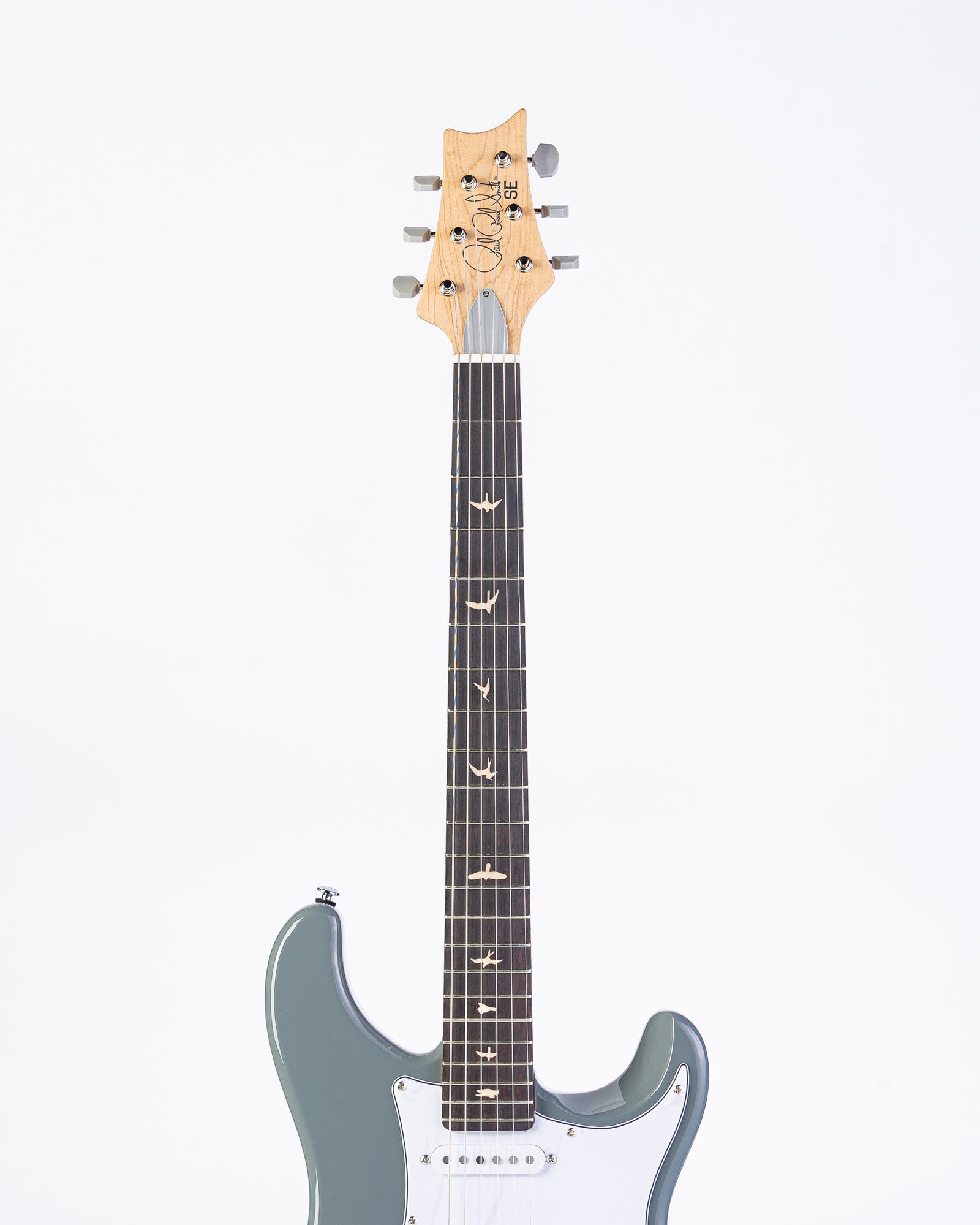PRS SE Silver Sky Storm Gray