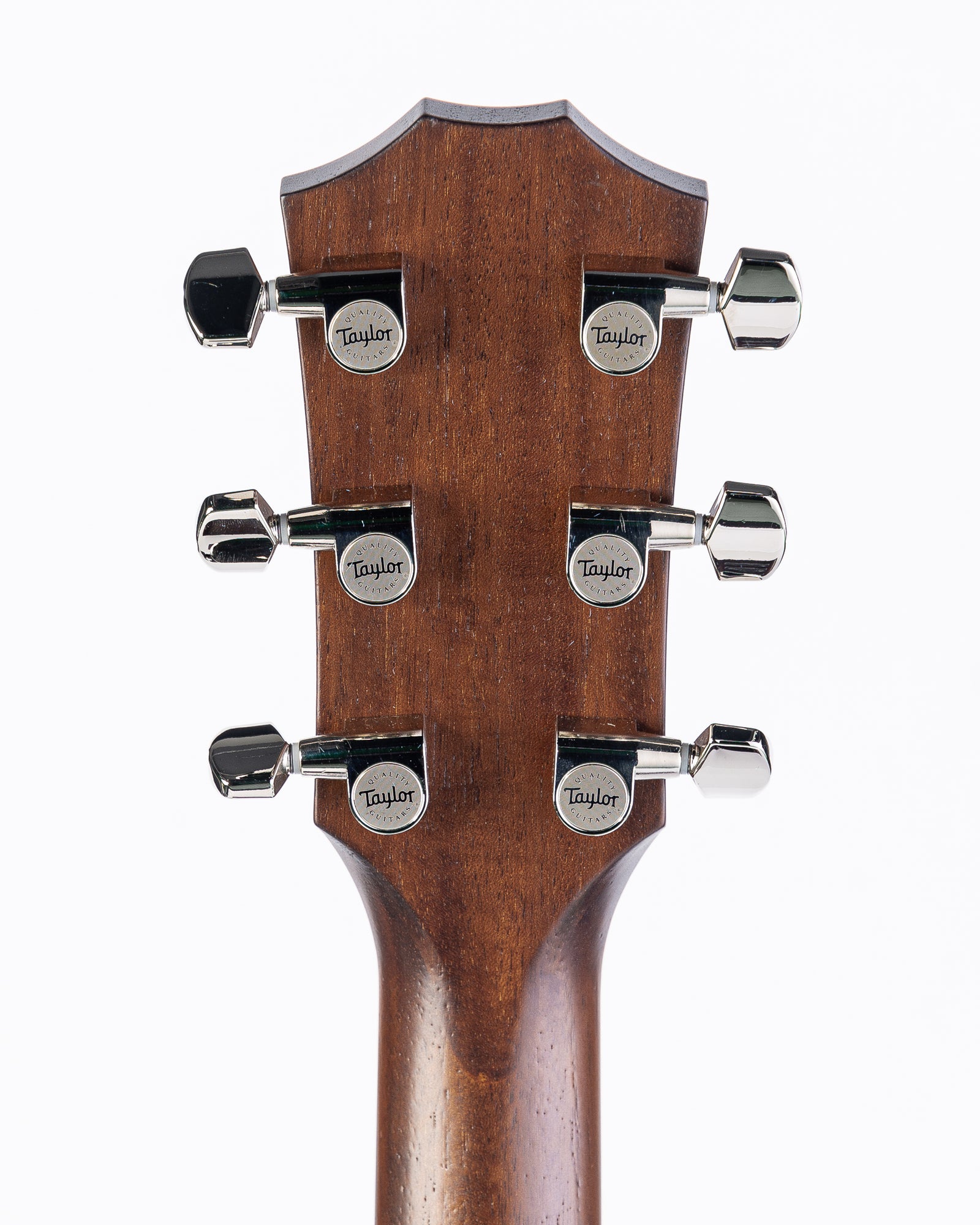 Taylor AD24ce Grand Auditorium Acoustic Electric Guitar - Neo-Tropical Mahogany with Aerocase
