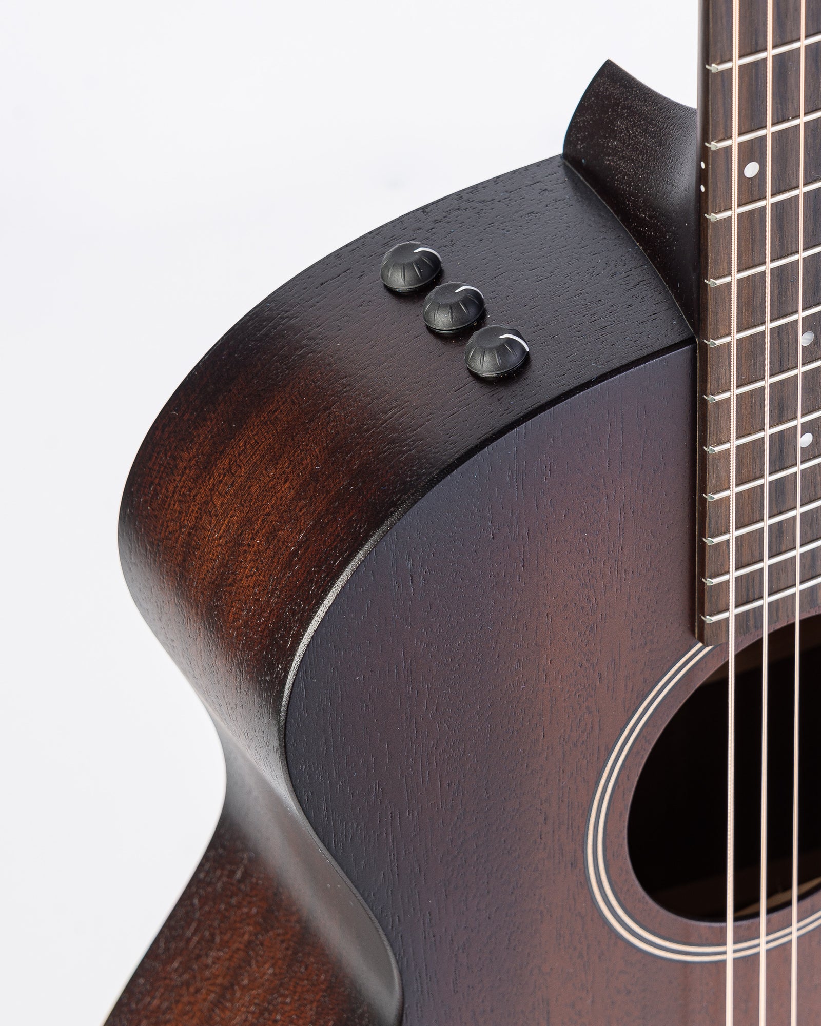 Taylor AD24ce Grand Auditorium Acoustic Electric Guitar - Neo-Tropical Mahogany with Aerocase