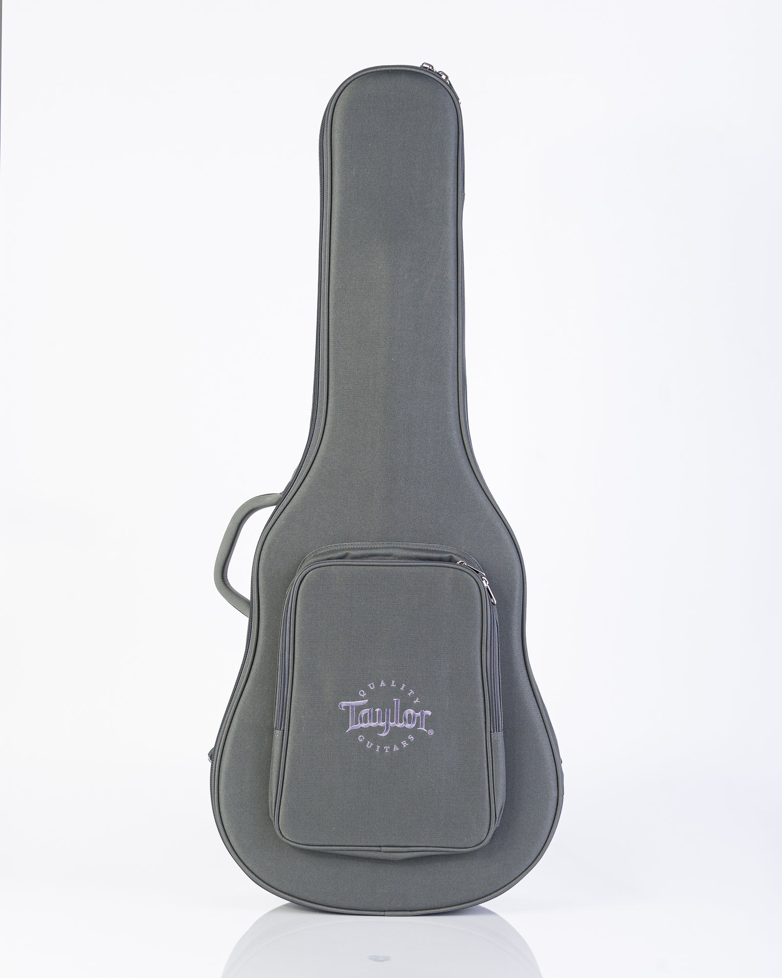 Taylor AD24ce Grand Auditorium Acoustic Electric Guitar - Neo-Tropical Mahogany with Aerocase