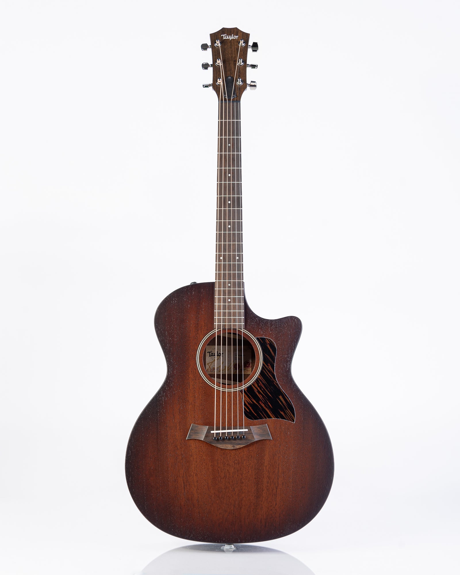 Taylor AD24ce Grand Auditorium Acoustic Electric Guitar - Neo-Tropical Mahogany with Aerocase