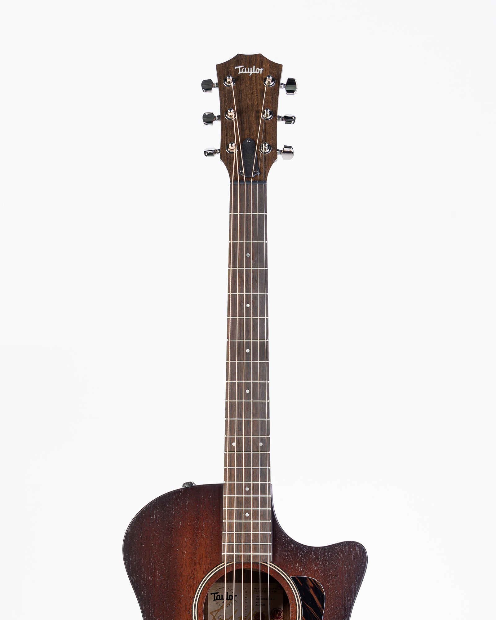 Taylor AD24ce Grand Auditorium Acoustic Electric Guitar - Neo-Tropical Mahogany with Aerocase