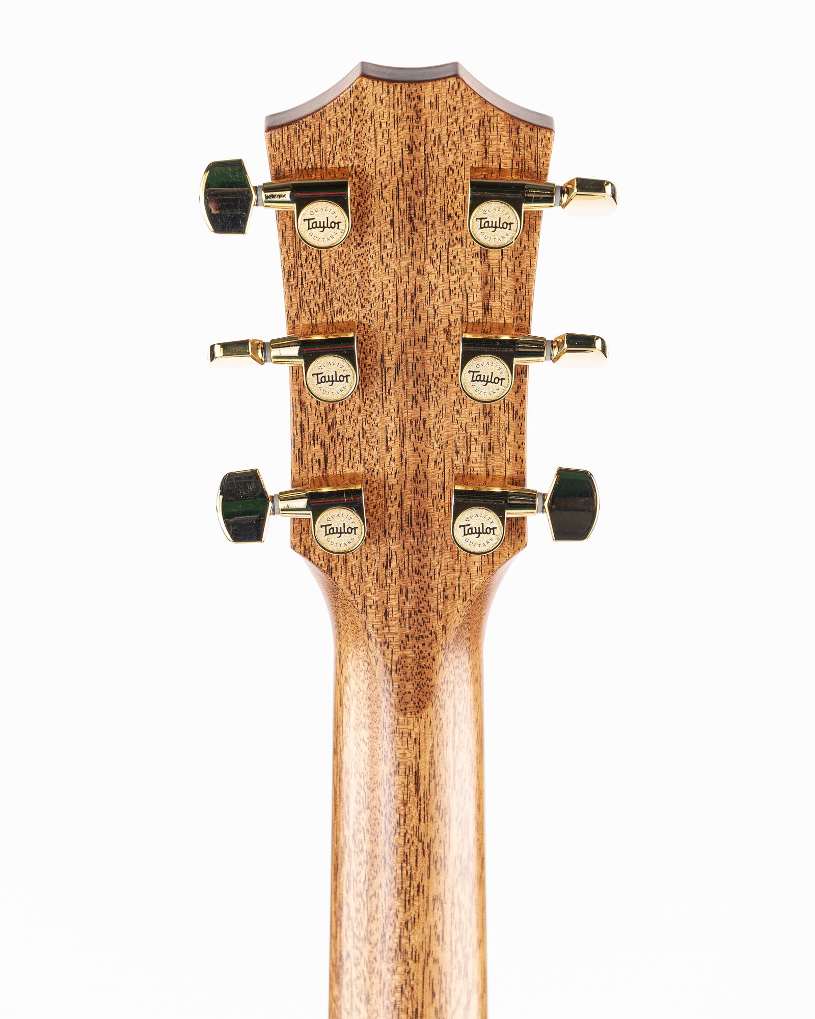 Taylor Legacy 514ce Acoustic Electric Guitar - Natural