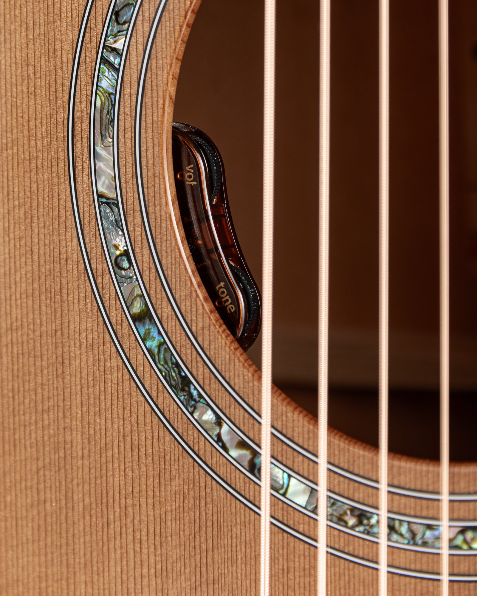 Taylor Legacy 514ce Acoustic Electric Guitar - Natural
