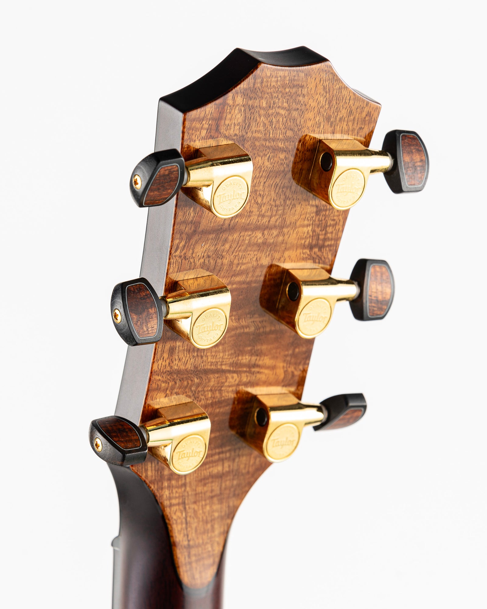 Taylor Catch Custom #27 Limited Edition C14ce B4027 Grand Auditorium Acoustic Electric Guitar - Bearclaw Sitka Spruce