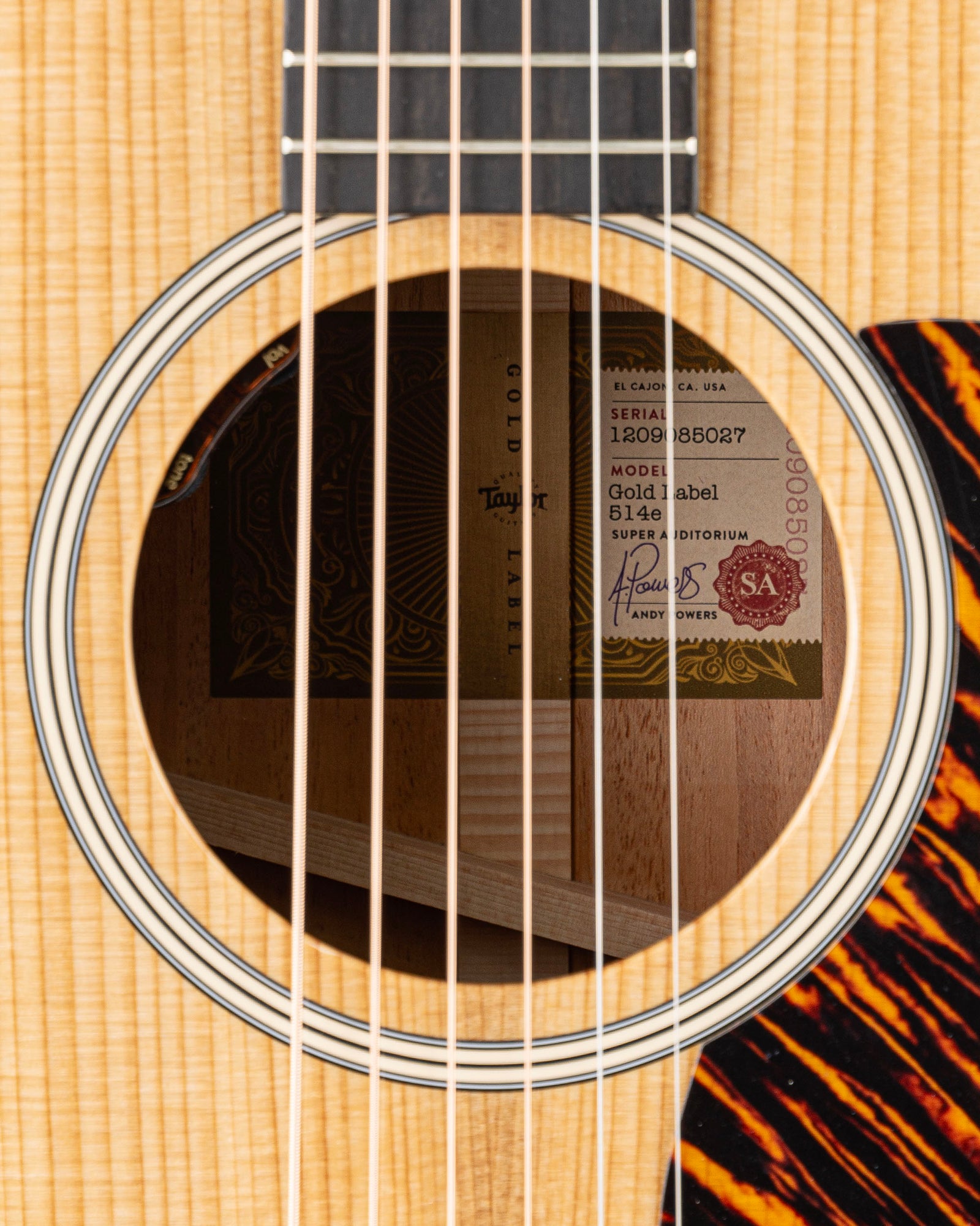 Taylor Gold Label 514e Acoustic Electric Guitar - Natural