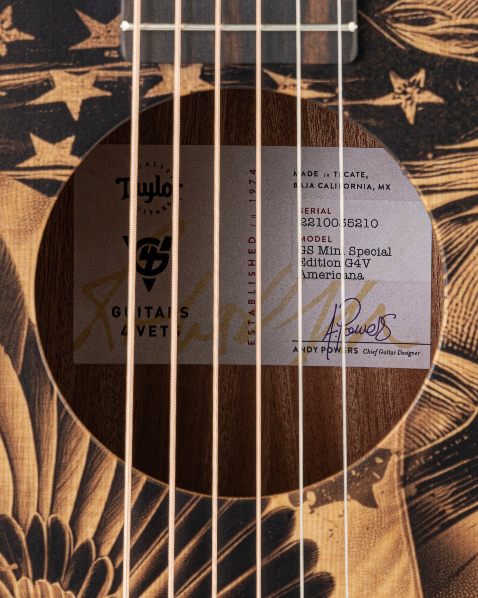 Taylor Guitars 4 Vets GS Mini Acoustic Guitar - Americana Special Edition