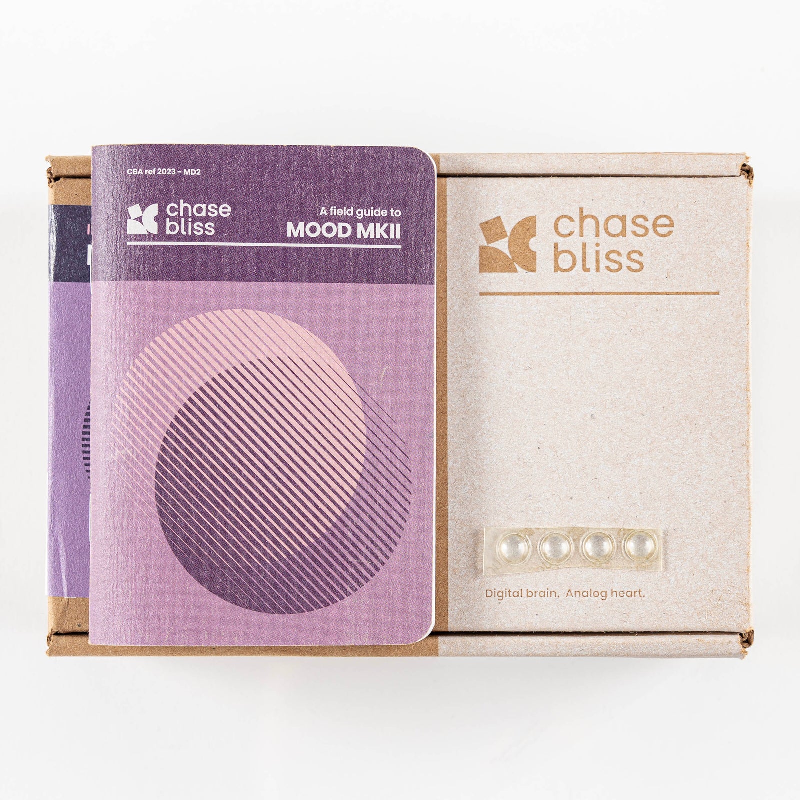 USED Chase Bliss MOOD MKII Instant Ambience Guitar Pedal