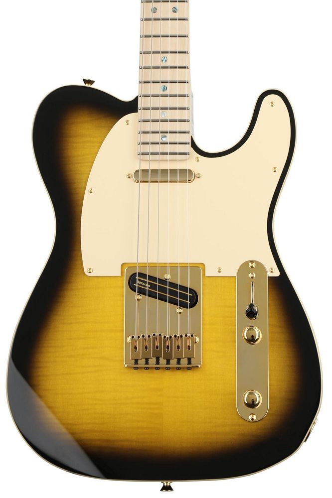 Fender Richie Kotzen Signature Tele Brown Sunburst