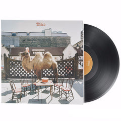 Wilco - Wilco [The Album] - Rock City Music Co.