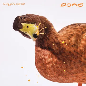 Pond - The Early Years: 2008 - 2010 (RSD25)