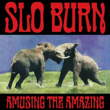 Slo Burn -  Amusing the Amazing (BFRSD25)