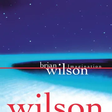 Brian Wilson - Imagination (RSD26)