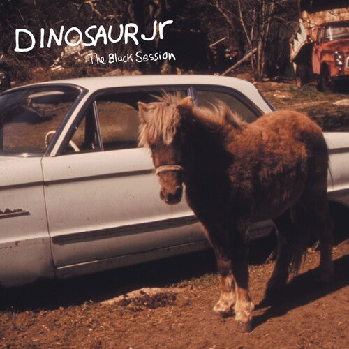 Dinosaur Jr - The Black Session: Live In Paris 1993