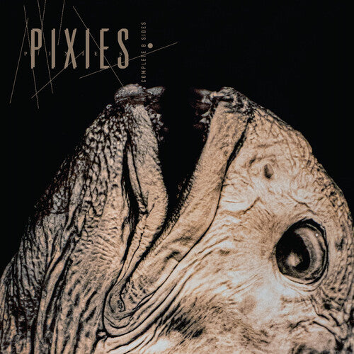 Pixies -.Complete B Sides: 1988-97 (Indie Exclusive Clear Vinyl)