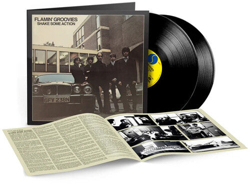 Flamin' Groovies - Shake Some Action (Spirit of 76 Anniversary Deluxe Edition)