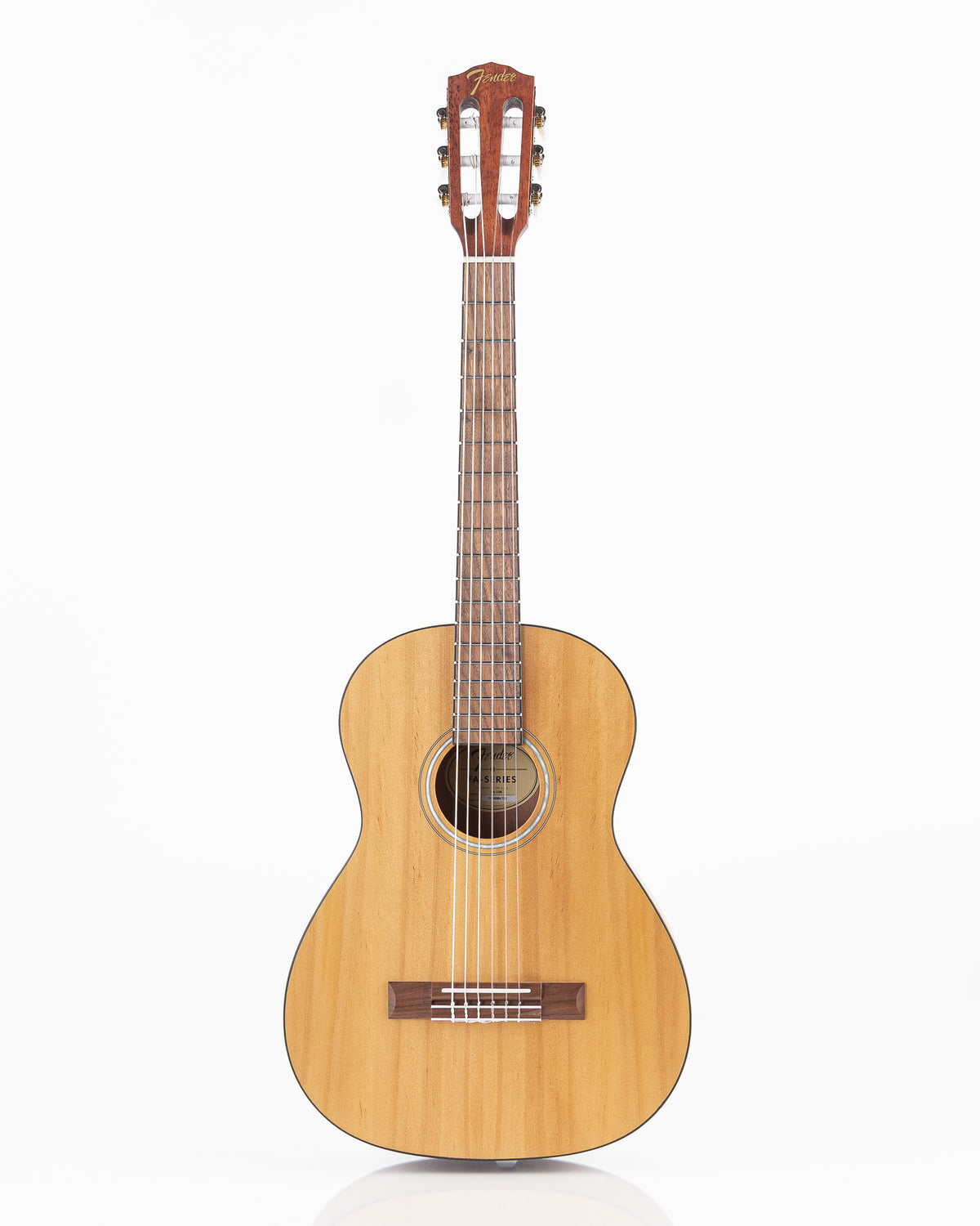 Fender Acoustic Guitar Starter Pack