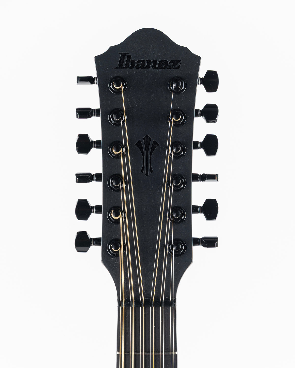 Ibanez AEG1221 12 String Acoustic Electric Guitar - Black Out