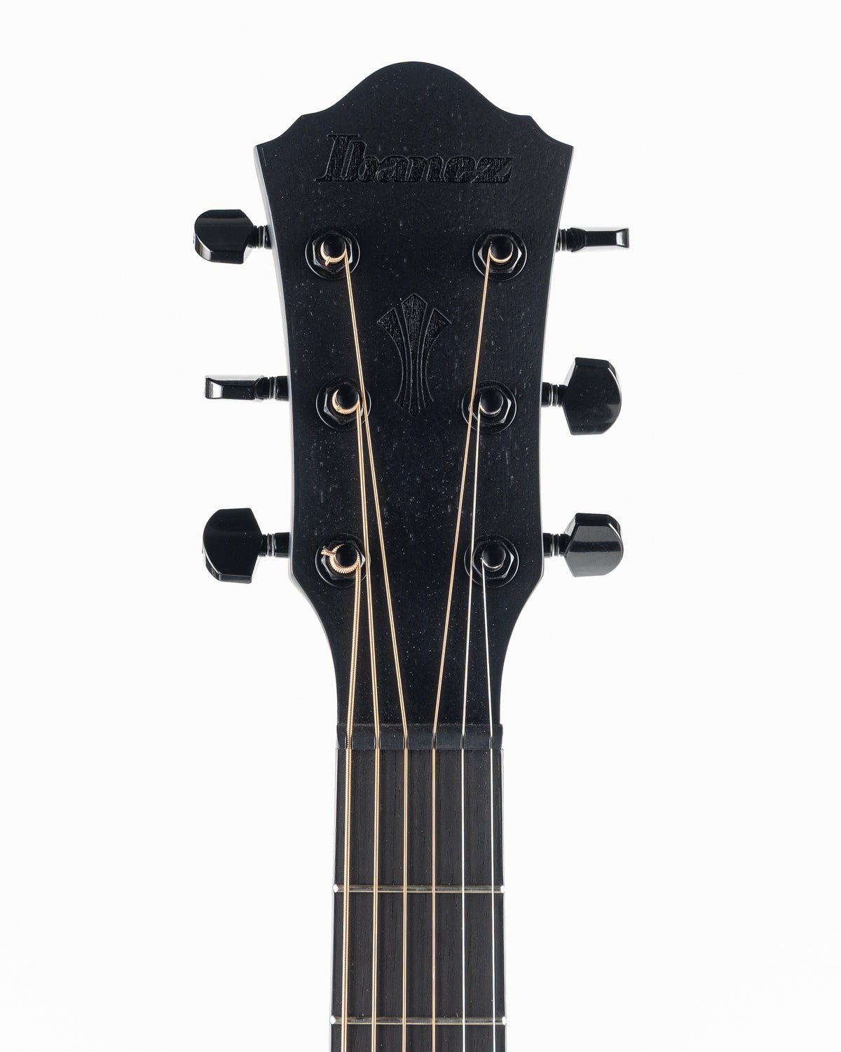 Ibanez AEG621 Acoustic Electric Guitar - Black Out