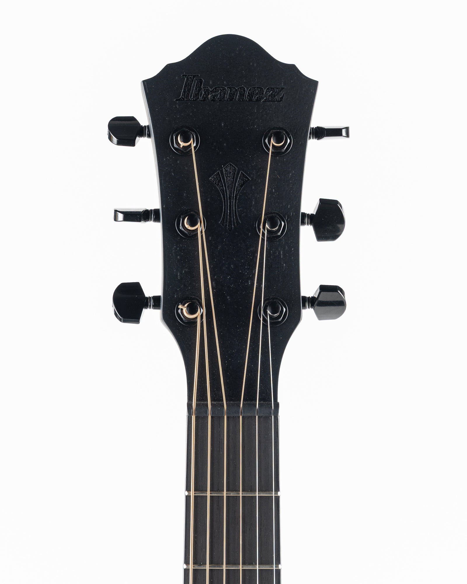 Ibanez AEG621 Acoustic Electric Guitar - Black Out