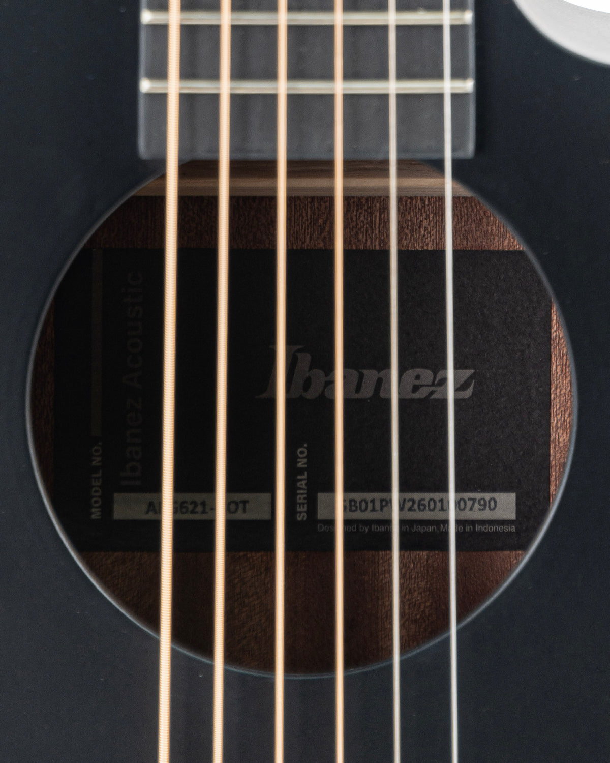 Ibanez AEG621 Acoustic Electric Guitar - Black Out