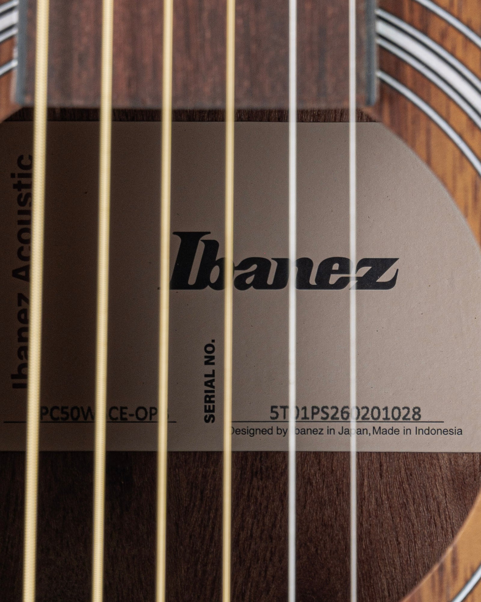 Ibanez PC50WSCE Acoustic Electric Guitar - Open Pore Natural