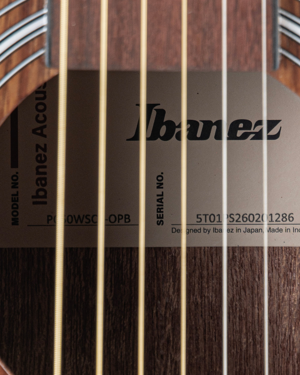 Ibanez PC50WSCE Acoustic Electric Guitar - Open Pore Natural