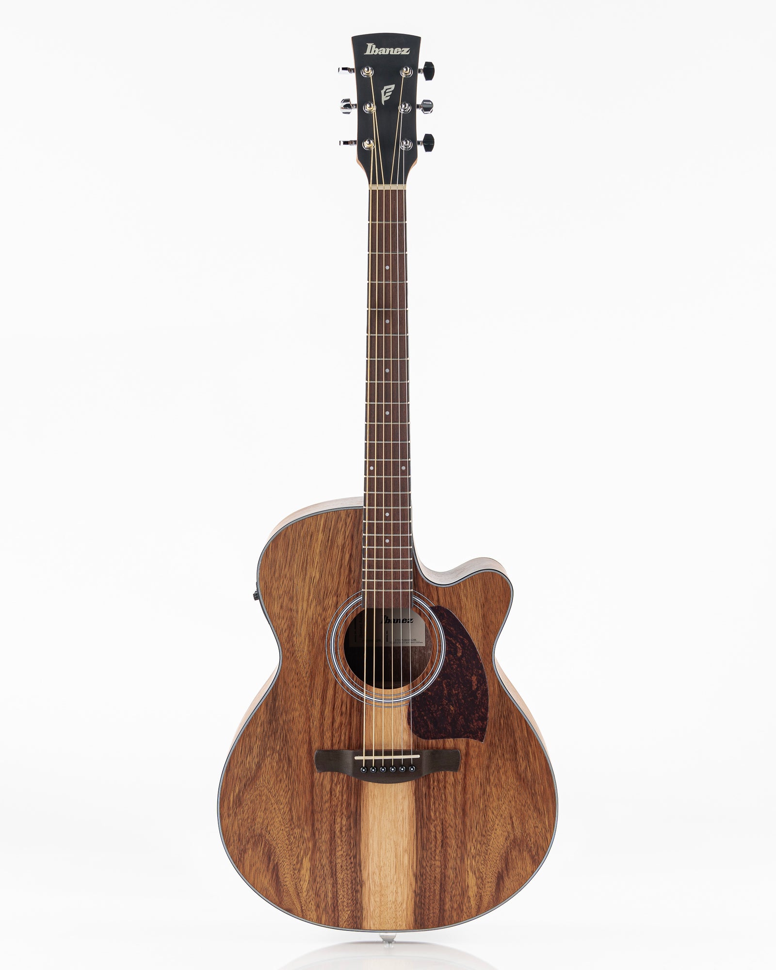 Ibanez PC50WSCE Acoustic Electric Guitar - Open Pore Natural
