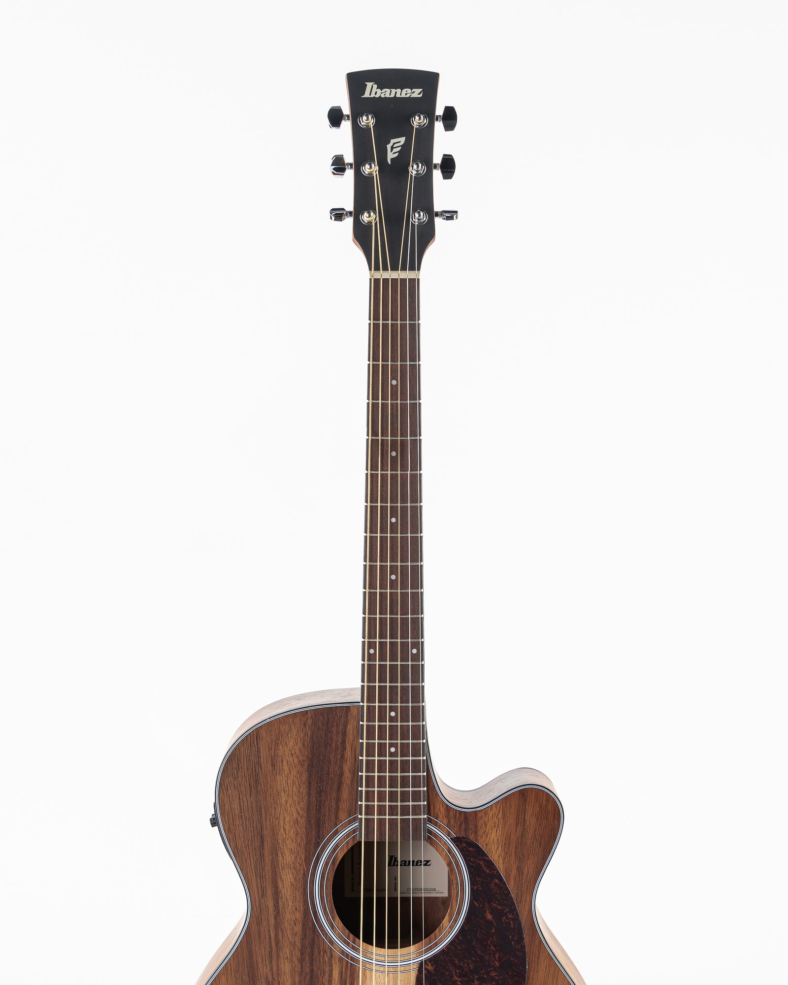 Ibanez PC50WSCE Acoustic Electric Guitar - Open Pore Natural