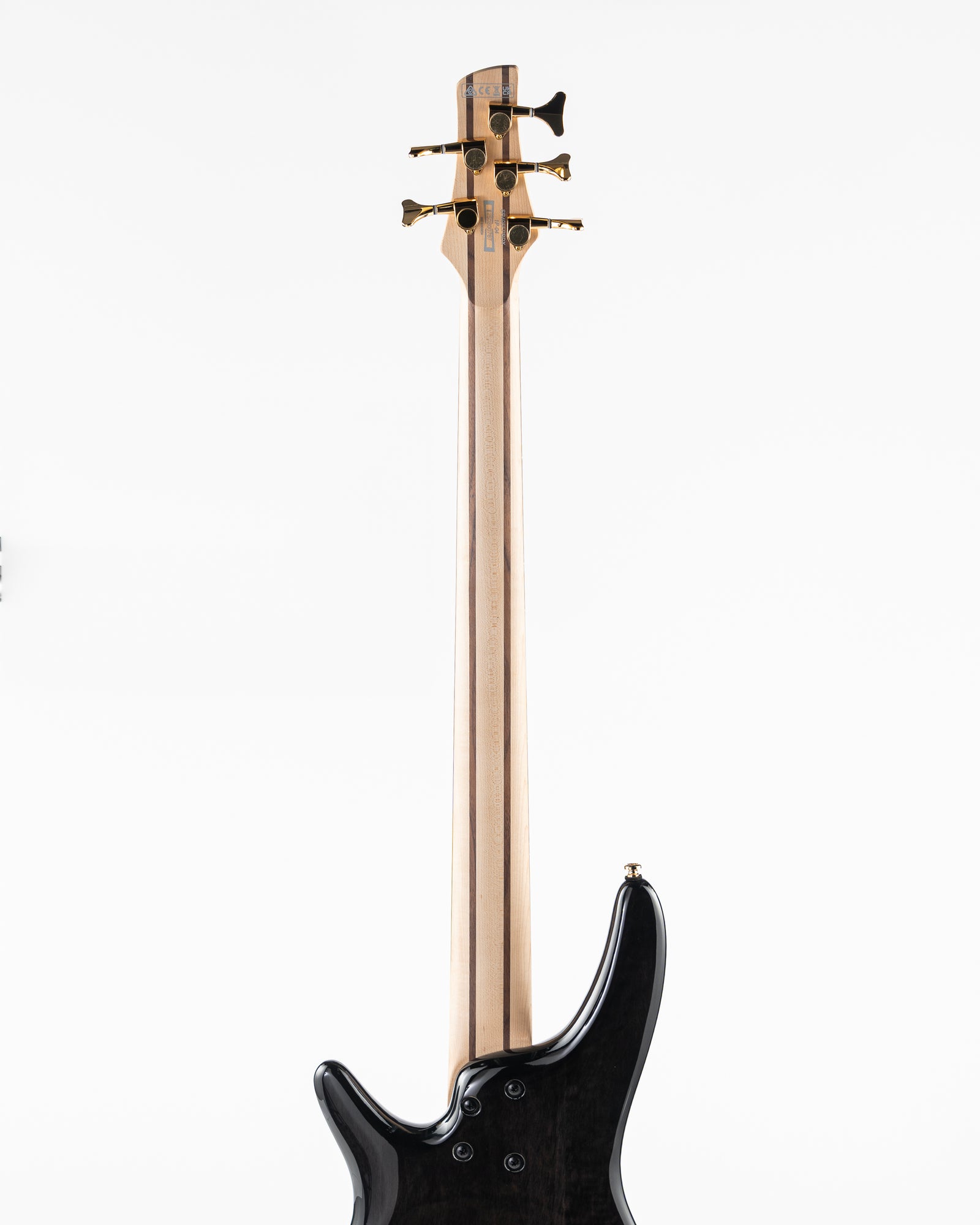 Ibanez SR Standard SR405EPBDX 5 String Electric Bass - Tropical Seafloor Burst