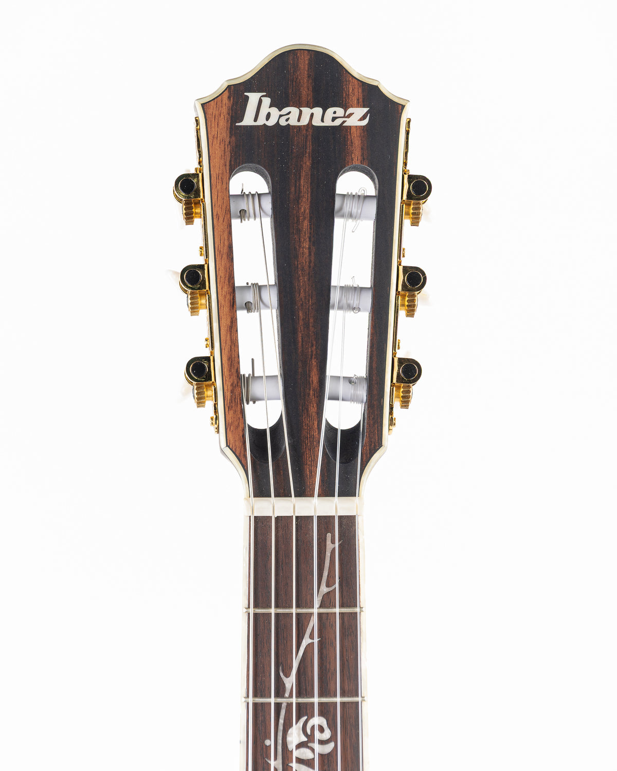 Ibanez TOD10N Tim Henson Signature Classical Acoustic Electric Guitar - Flat Black