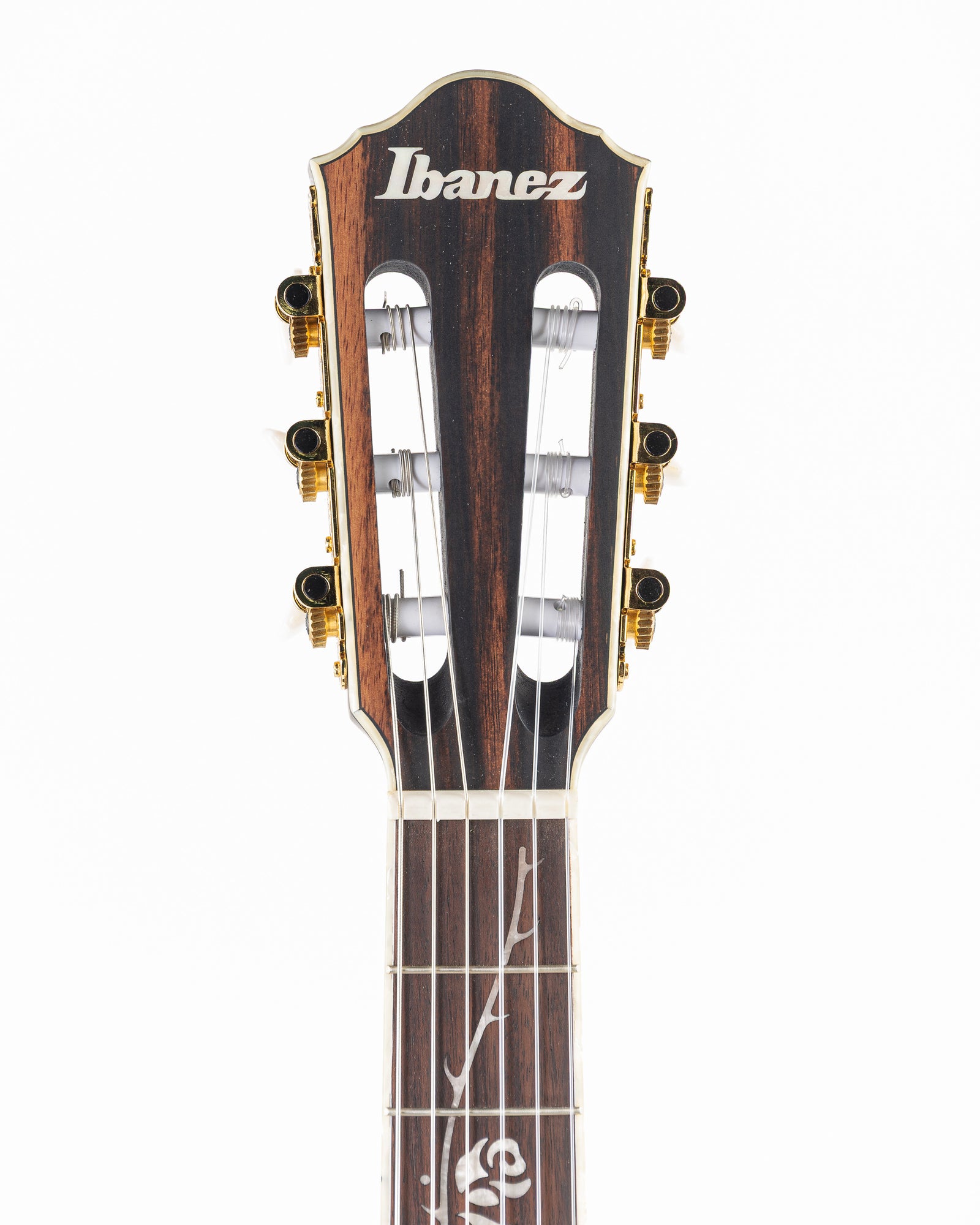 Ibanez TOD10N Tim Henson Signature Classical Acoustic Electric Guitar - Flat Black