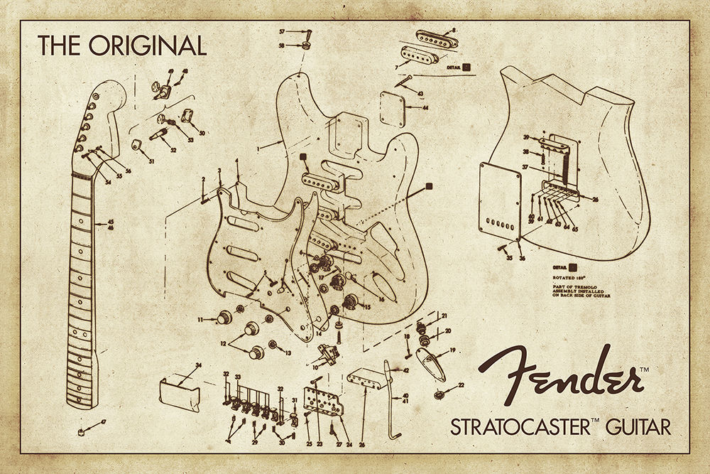 Fender Diagram - 24x36 Poster