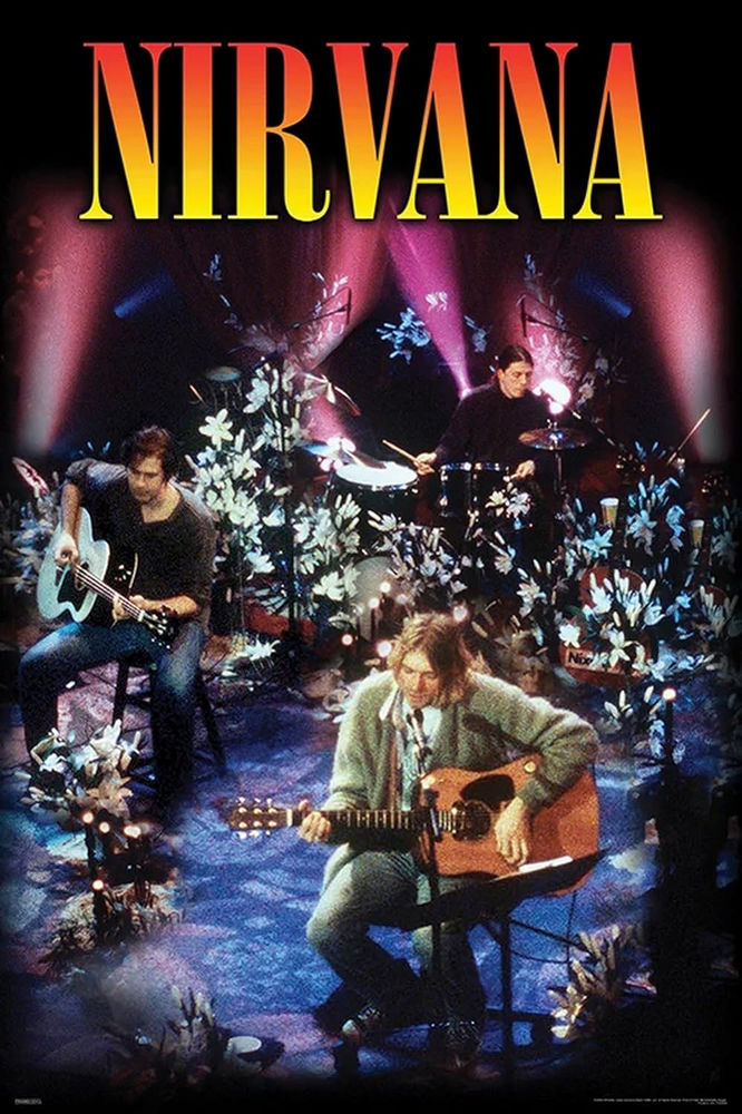 Nirvana Unplugged - 24x36 Poster