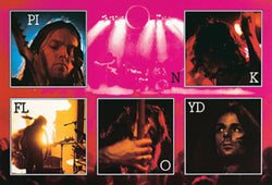 Pink Floyd - Live Collage 24 x 26 Poster