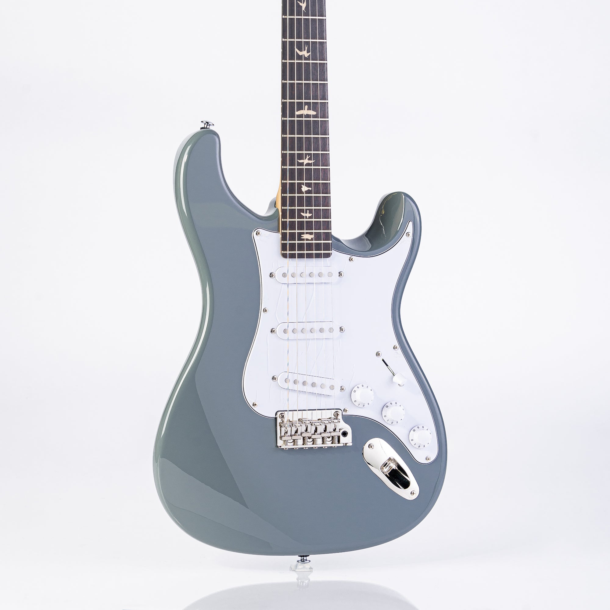 PRS SE Silver Sky Storm Gray