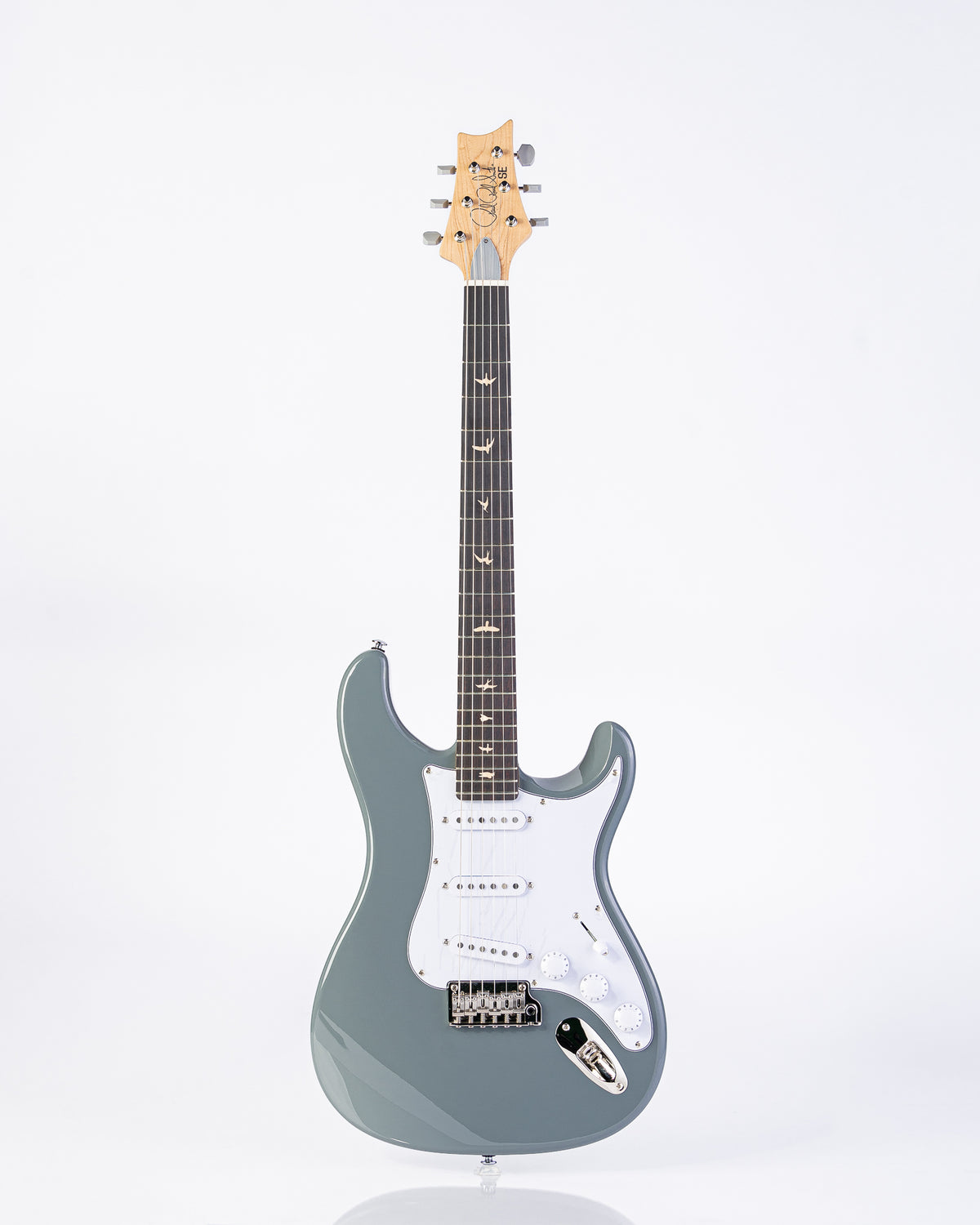 PRS SE Silver Sky Storm Gray