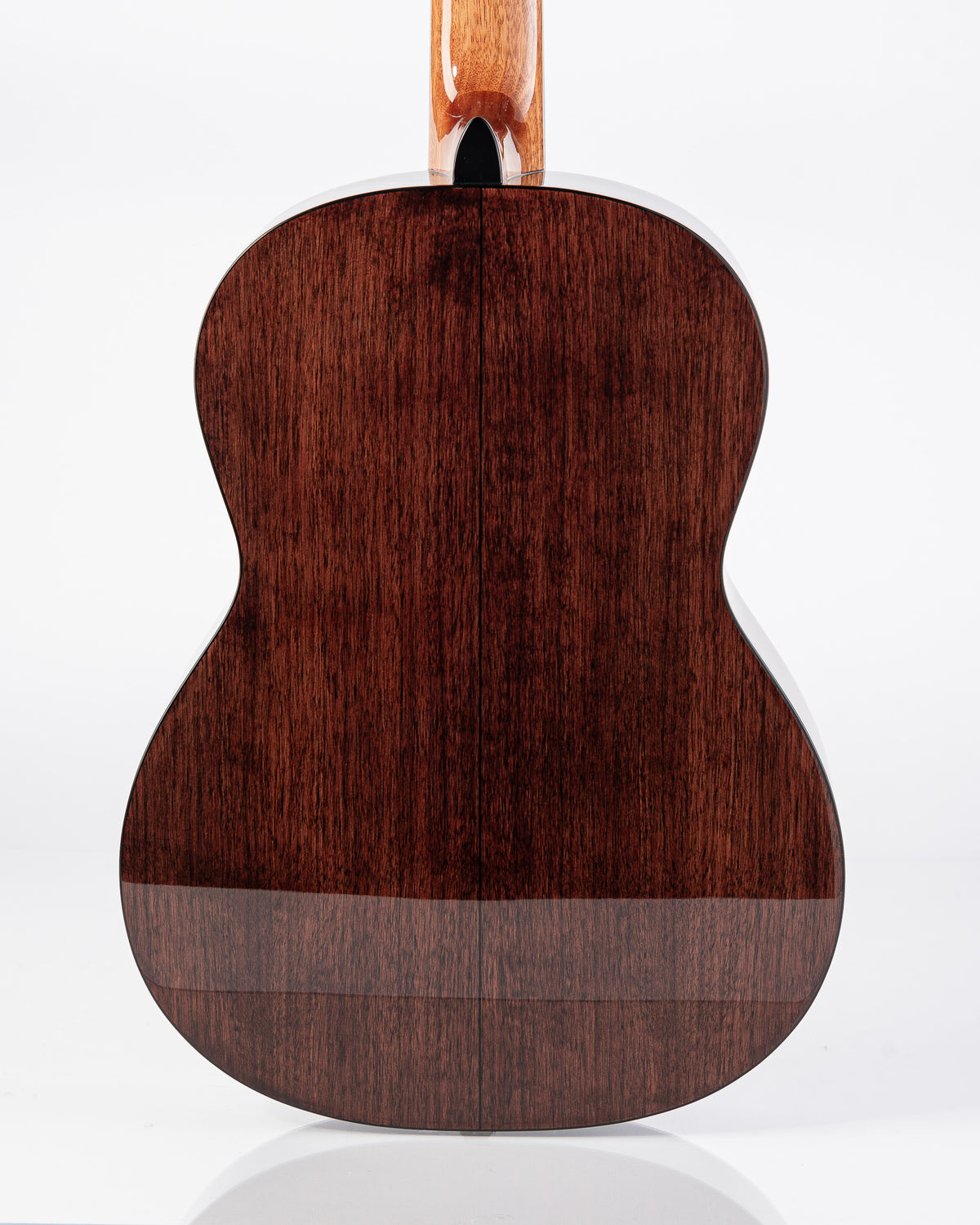 Takamine GC5 Classical Guitar with Laurel Fingerboard - Natural