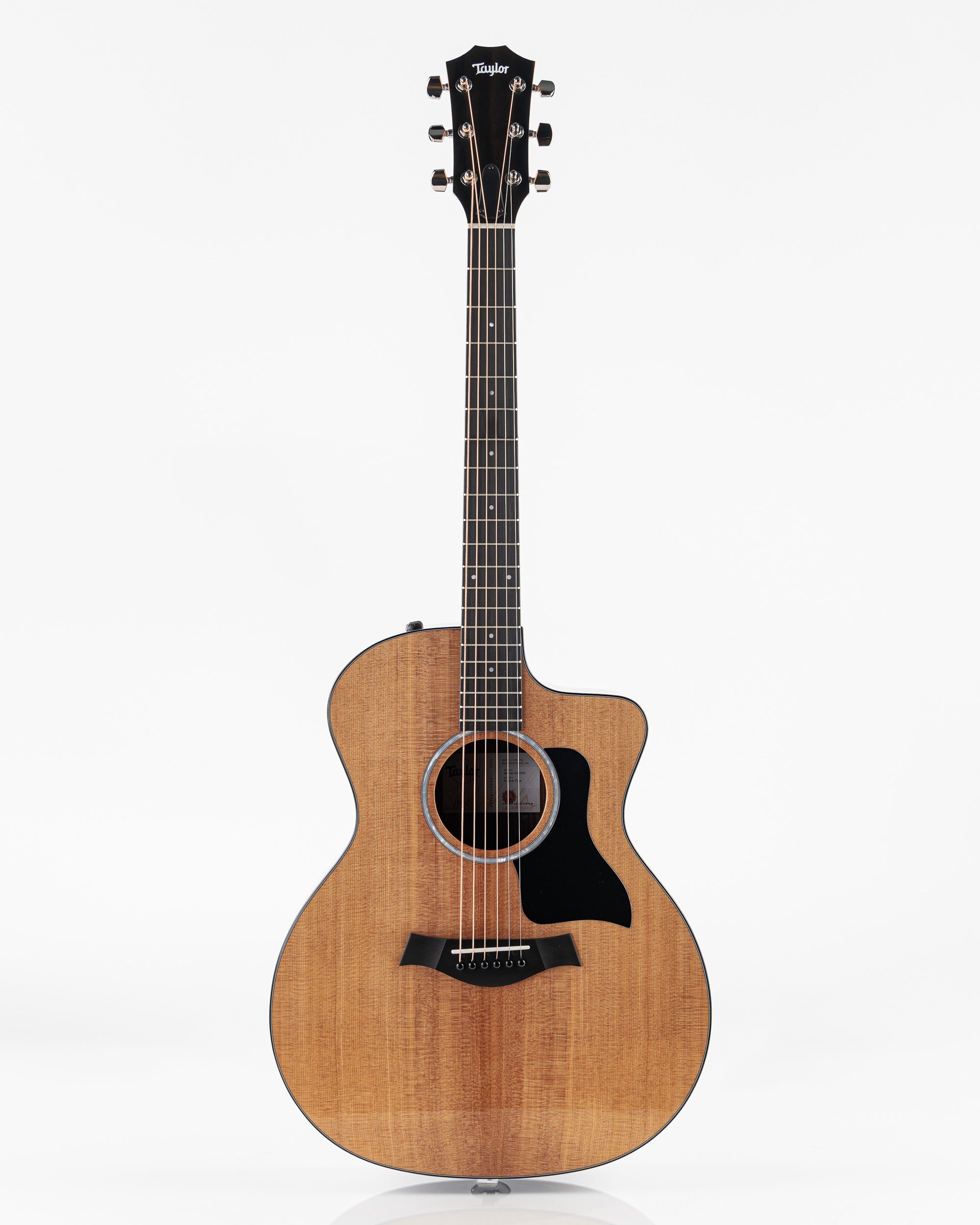 Taylor Grand Auditorium 214ceアコースティックギター Taylor 214ce Plus Grand Auditorium Acoustic Electric Guitar