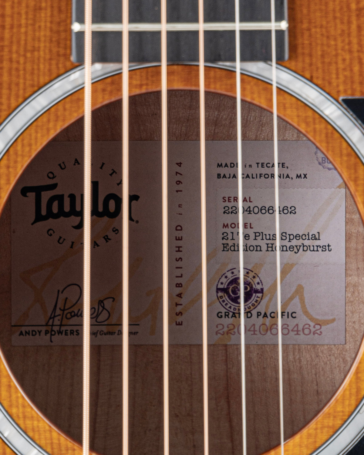 Taylor 217e Plus Special Edition Grand Pacific Acoustic Electric Guitar - Honeyburst