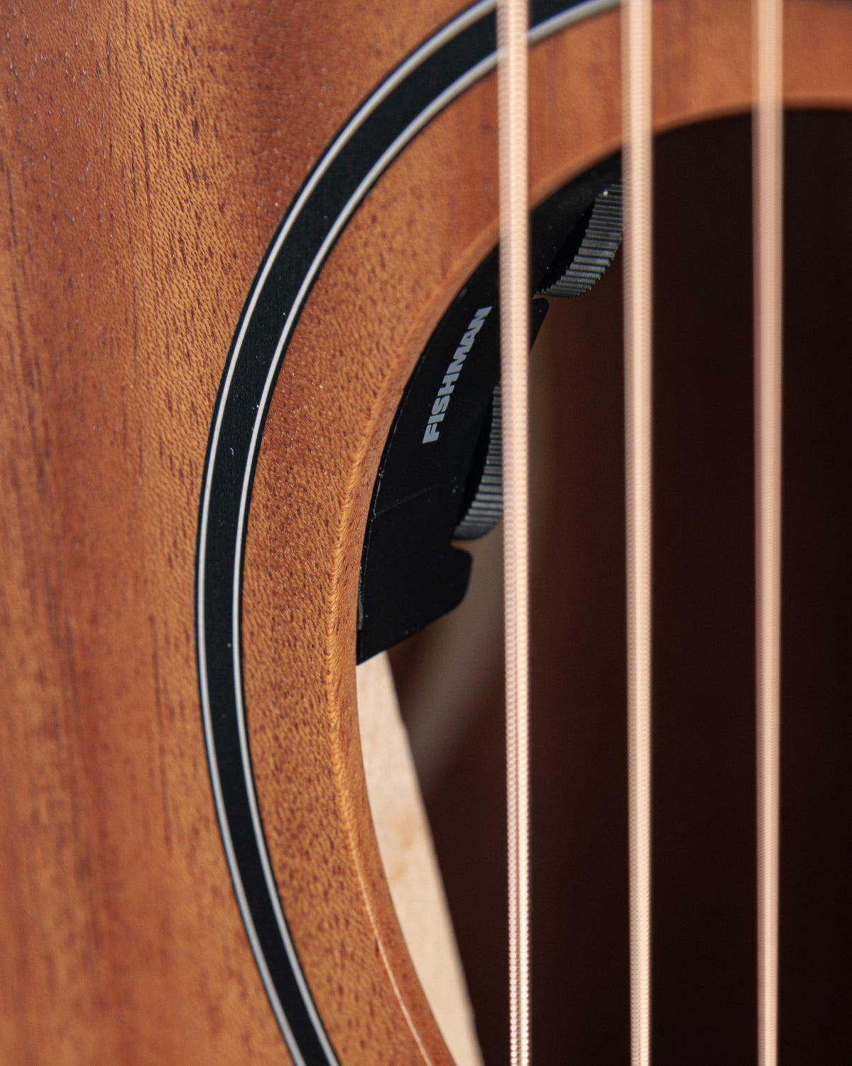 Taylor 24ce Mahogany Acoustic Electric Guitar - Natural