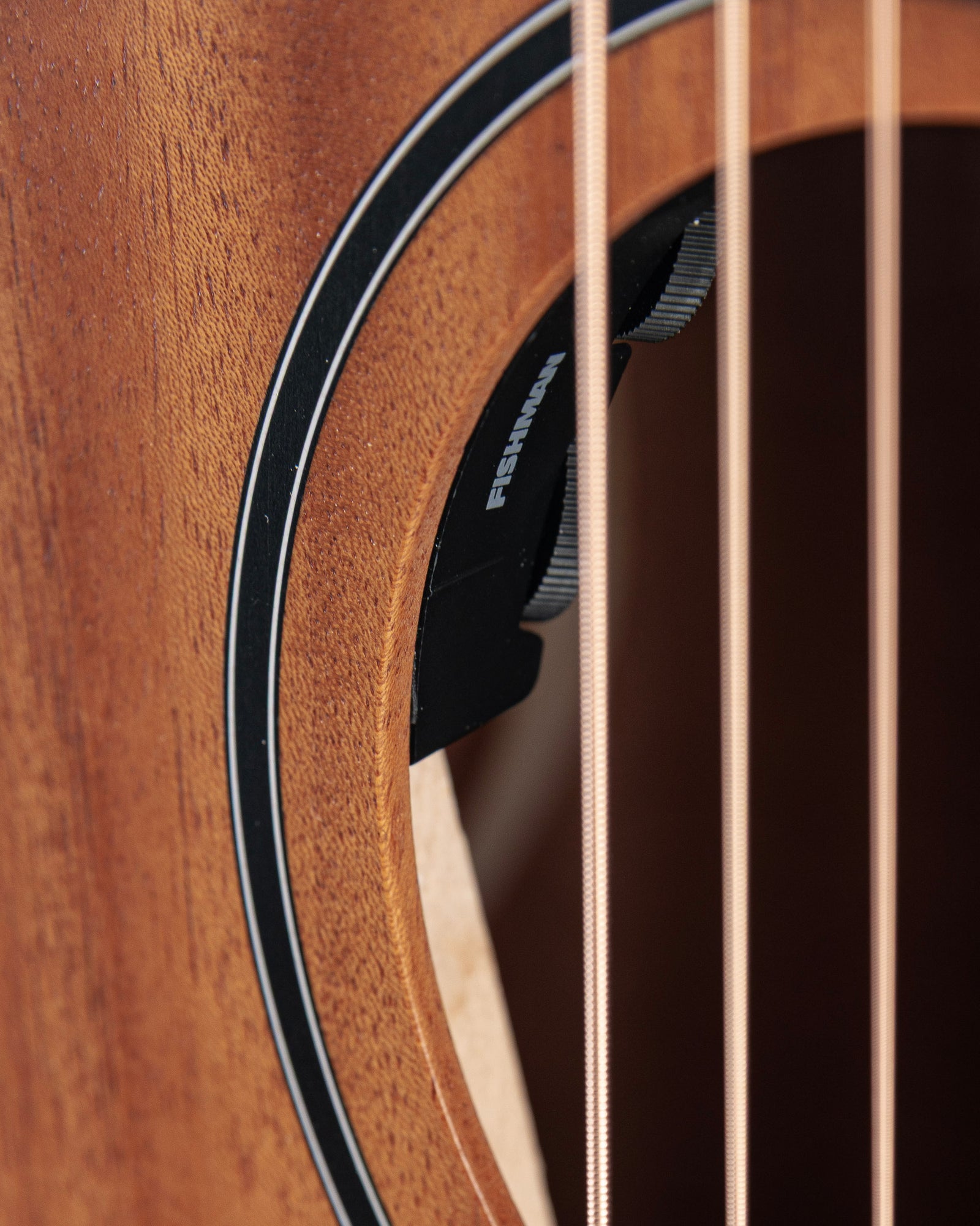Taylor 24ce Mahogany Acoustic Electric Guitar - Natural