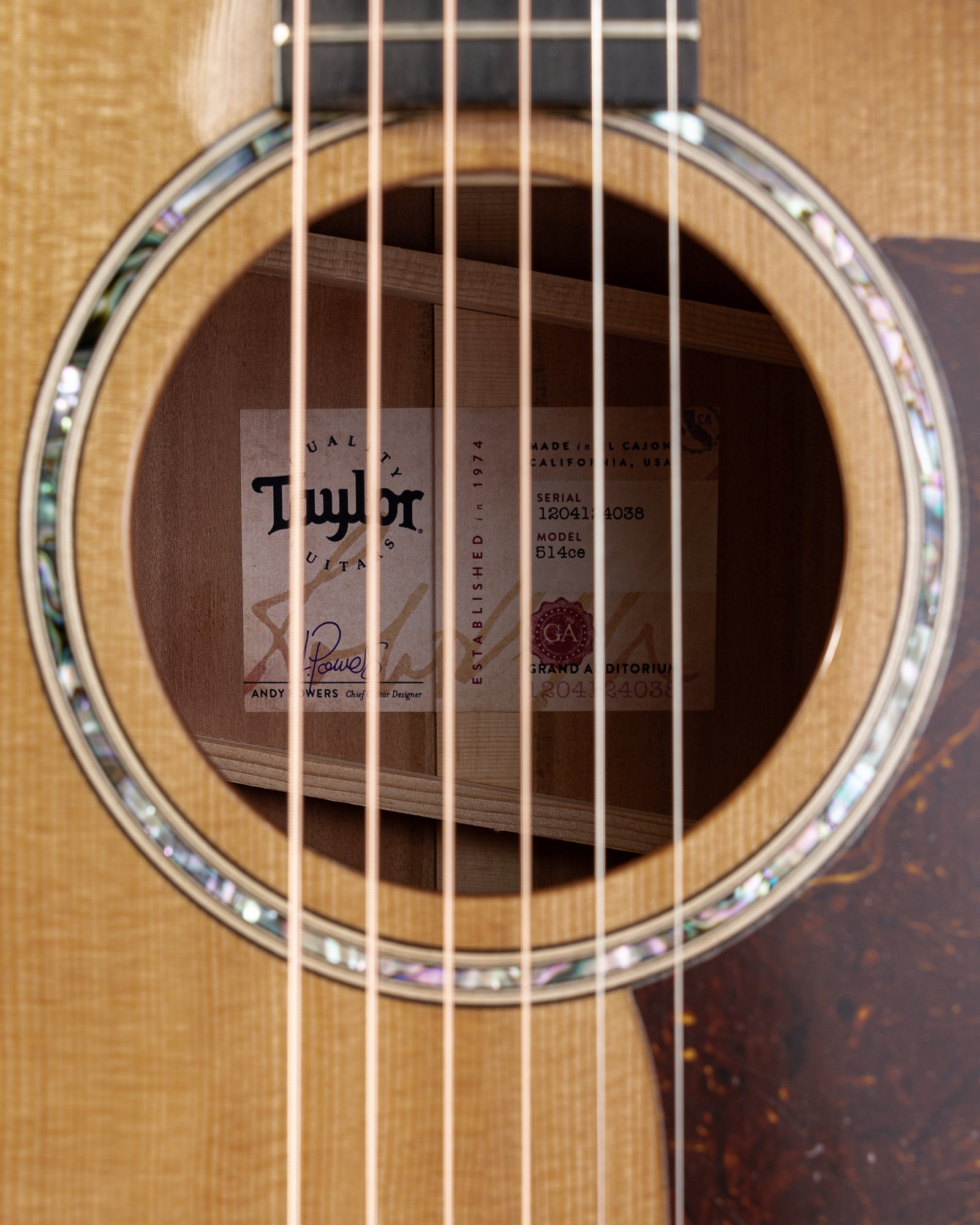 Taylor 514ce Urban Ironbark Acoustic Electric Guitar- Tobacco Gloss